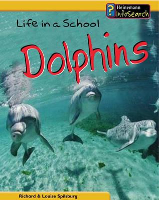 Dolphins