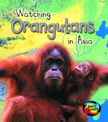 Watching Orangutans in Asia