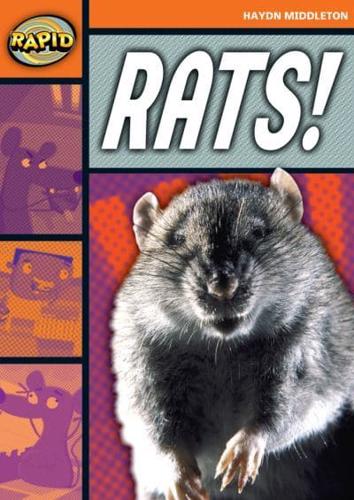 Rats!