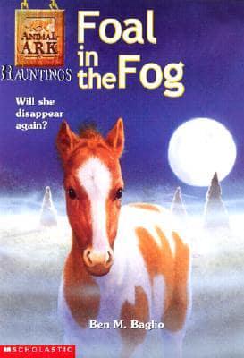Foal in the Fog