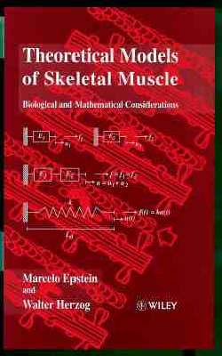 Theoretical Models of Skeletal Muscle
