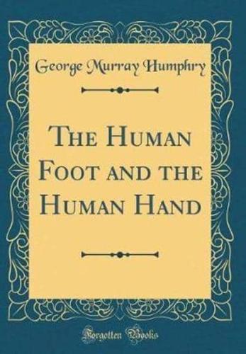 The Human Foot and the Human Hand (Classic Reprint)