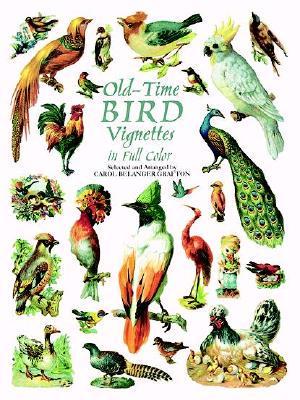 Old-Time Bird Vignettes in Full Colour