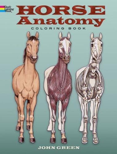 Horse Anatomy