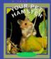 Your Pet Hamster