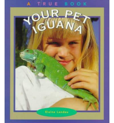 Your Pet Iguana