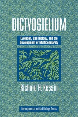 Dictyostelium: Evolution, Cell Biology, and the Development of Multicellularity