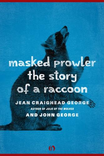 Masked Prowler the Story of a Raccoon