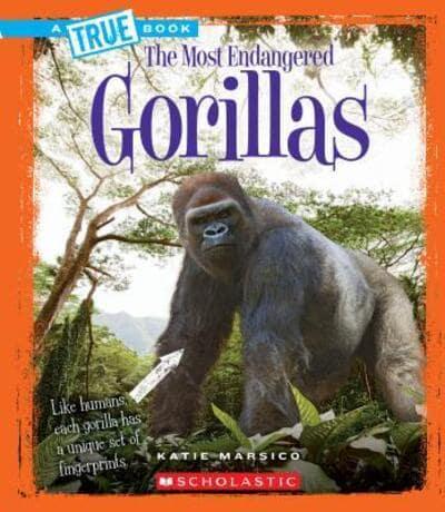Gorillas (A True Book: The Most Endangered)