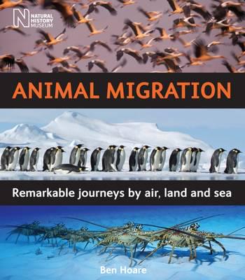 Animal Migration