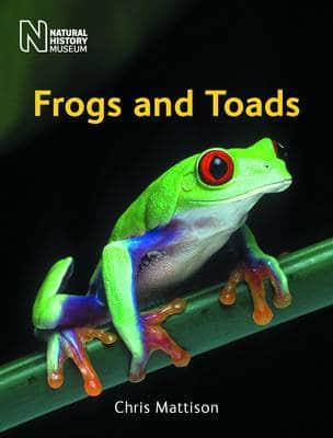 Frogs and Toads