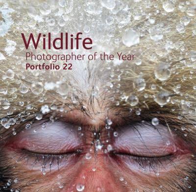 Wildlife Photographer of the Year. Portfolio 22