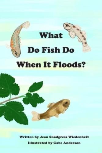 What Do Fish Do When It Floods?
