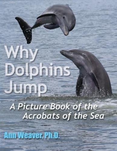 Why Dolphins Jump