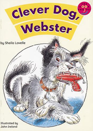 Clever Dog, Webster