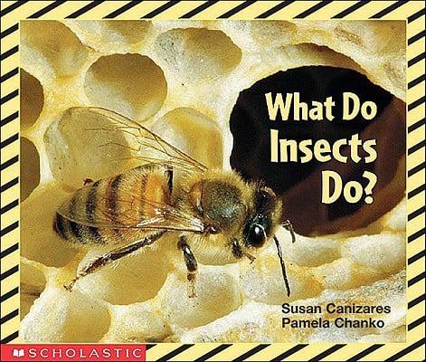 What Do Insects Do?