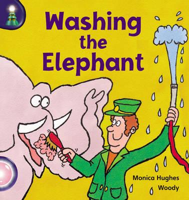 Lighthouse Reception/P1Pink A:Wash Elephant