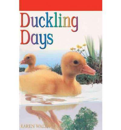 Duckling Days
