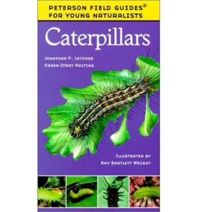 Caterpillars