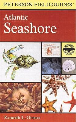 A Field Guide to the Atlantic Seashore from the Bay of Fundy to Cape Hatteras