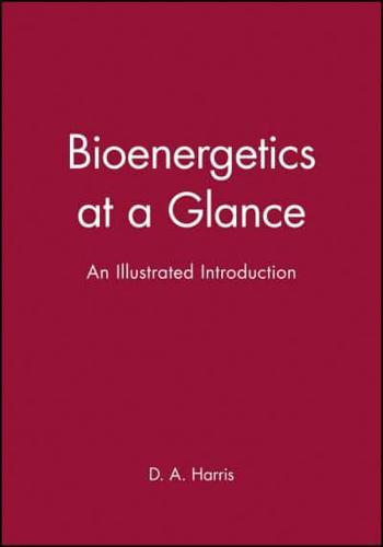 Bioenergetics at a Glance