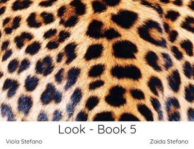 Look - Book 5