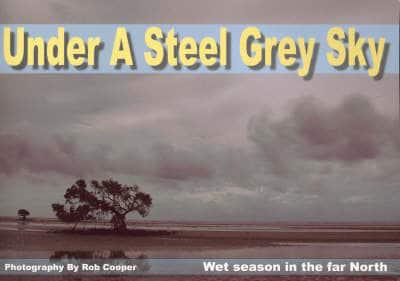 Under a Steel Grey Sky