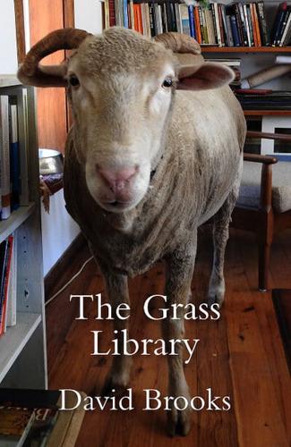 Grass Library