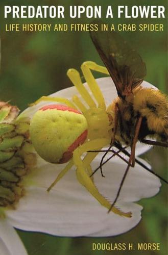 Predator Upon a Flower