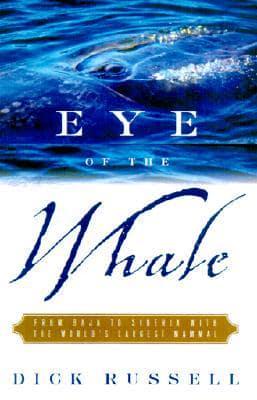 Eye of the Whale