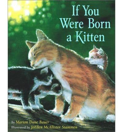 If You Were Born Kitten (Board)