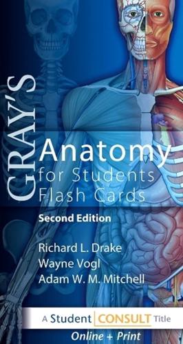 Gray's Anatomy for Students Flashcards