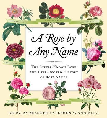 A Rose by Any Name