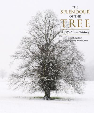 The Splendour of the Tree