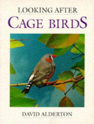 Looking After Cage Birds