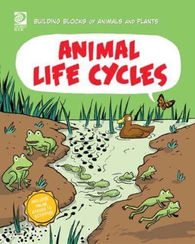 Animal Life Cycle