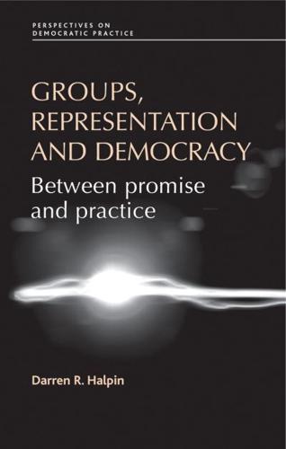 Groups, representation and democracy: Between promise and practice
