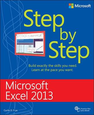 Microsoft Excel 2013