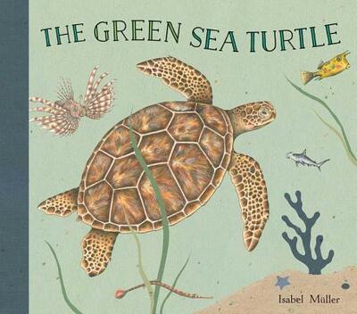 The Green Turtle