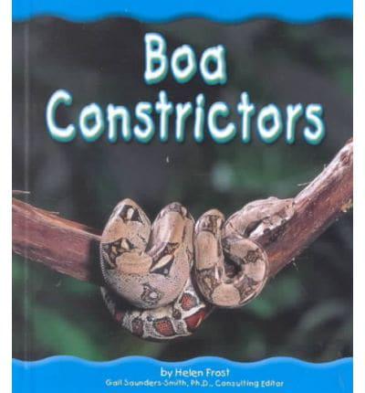 Boa Constrictors