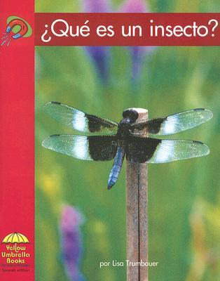 Que Es Un Insecto?/ What Is an Insect?