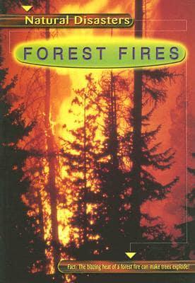 Forest Fires