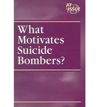 What Motivates Suicide Bombers?