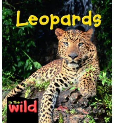 Leopards