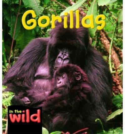 Gorillas