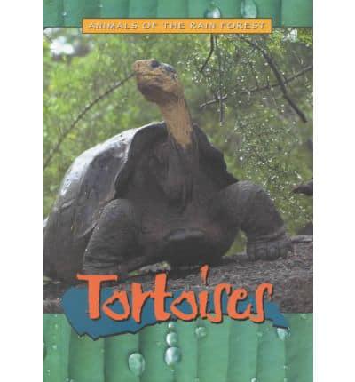 Tortoises