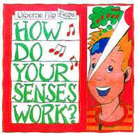 How Do Your Senses Work?