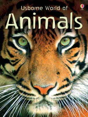 Usborne World of Animals