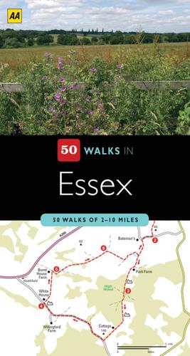 50 Walks in Essex