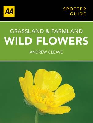 Grassland & Farmland Wild Flowers